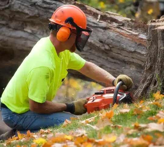 tree services East Grand Forks